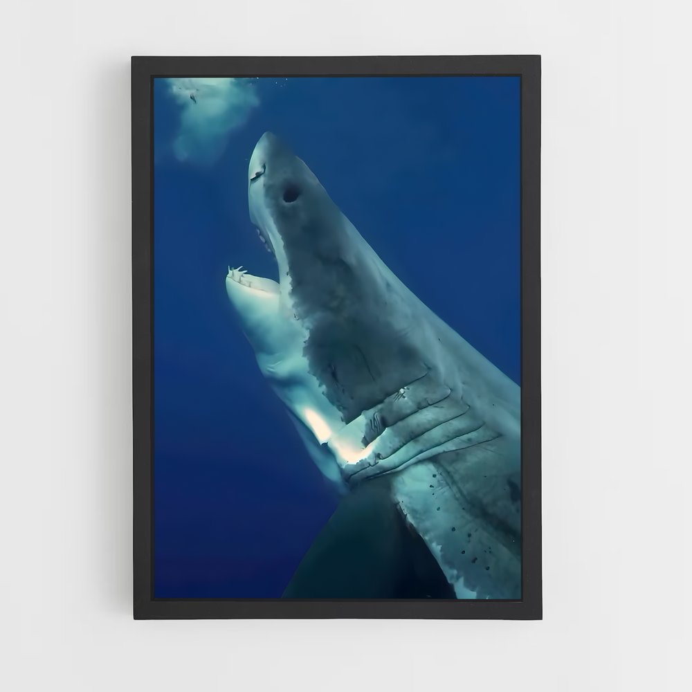 Poster Great white – affiche Plongée sous-marine (vue 2)